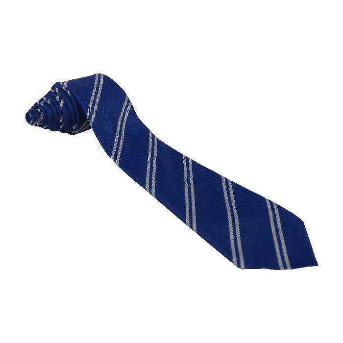 stantonbury school tie